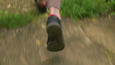 Nahaufnahme-Von-Sportlerbeinen,-Die-Im-Wald-Laufen