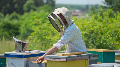 male apiarist in protective hat checking his honeycombs. apiarist pulls frames out of the hive and examines them. trees at the background.