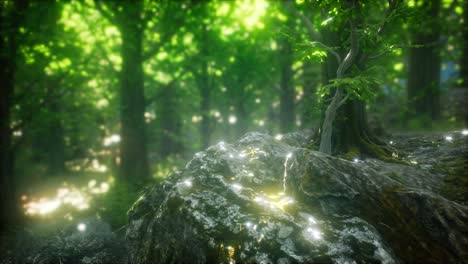 scenic forest of fresh green deciduous trees framed by leaves