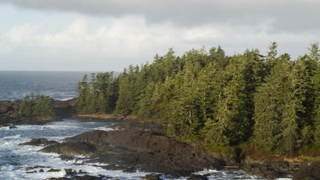 video de avión no tripulado al atardecer en ucluelet, columbia británica, canadá sobre el océano y el bosque