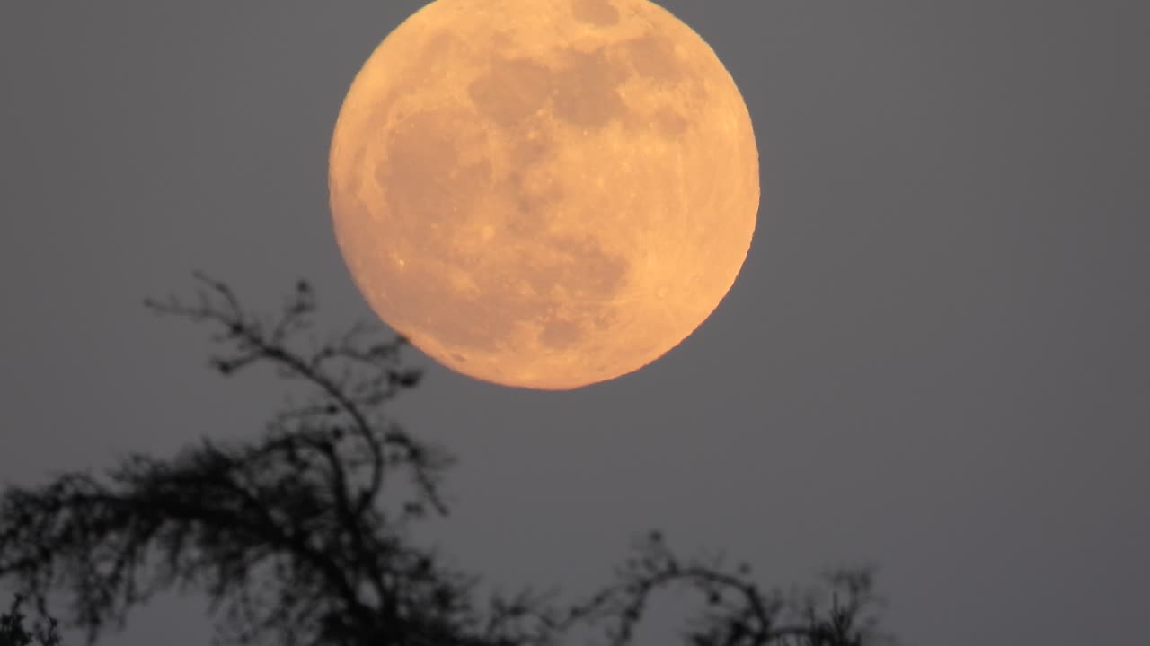 Full red moon in night sky, static view