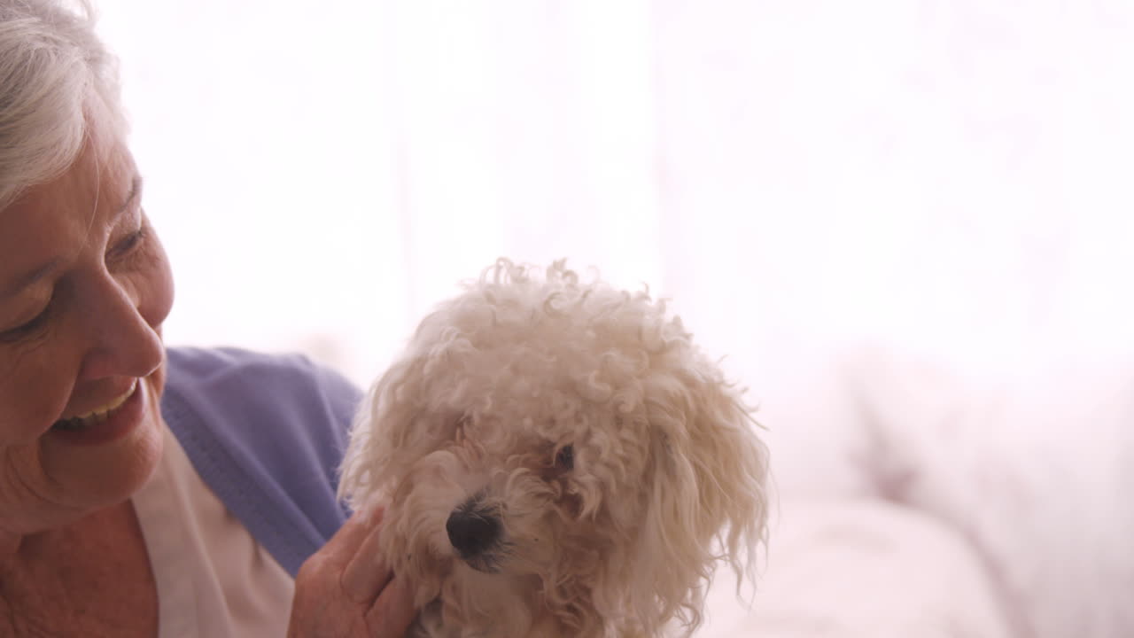 고령 여성 이 개 를 만지고 있다