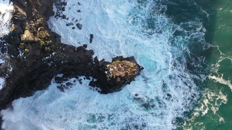 Drone-Captures-the-Majestic-Icelandic-Ocean-Waves-Upwards-from-a-Top-Down-View