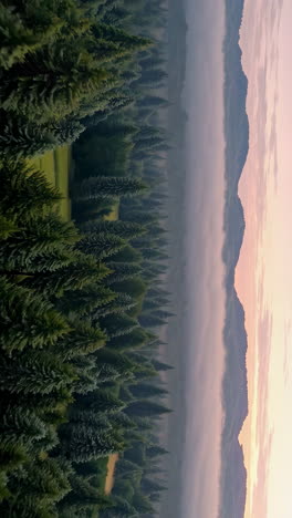 aerial view of a misty mountain forest at sunrise