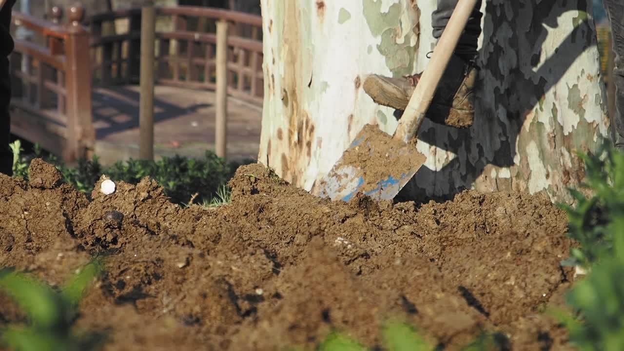 persona excavando tierra con una pala en un jardín