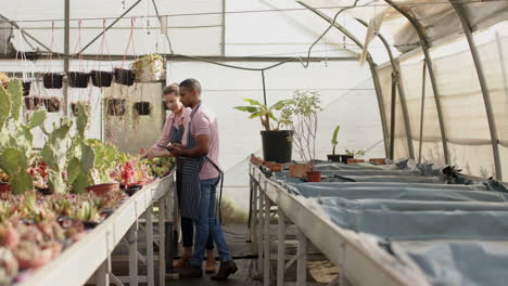 diverse gardeners in greenhouse nurturing plants and discussing care techniques together