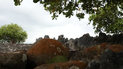 ancient stone ruins on a tropical coast