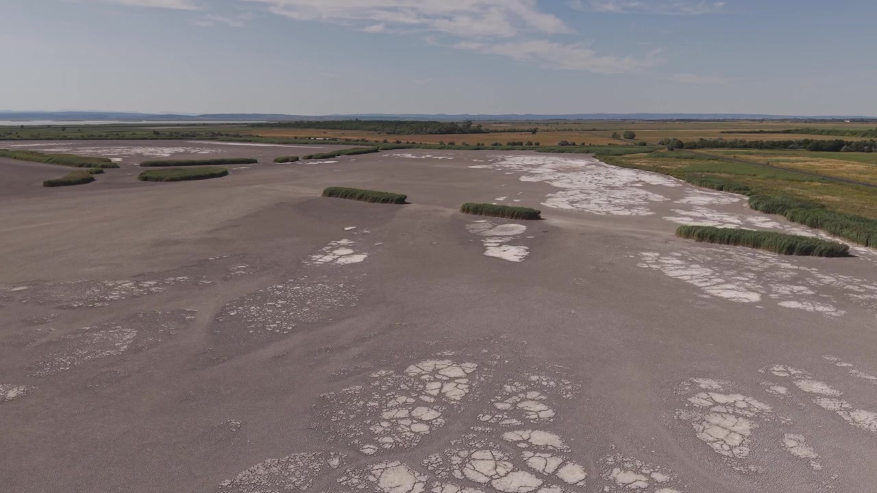 Droneudsigt over en udtørret saltsø med revnede saltaflejringer, isolerede rørskovsområder og et udstrakt vådområdelandskab under en klar blå himmel.