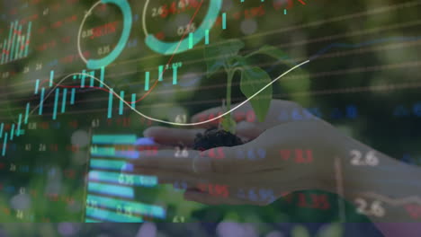 animación de la persona que posee plántulas de plantas con procesamiento de datos financieros