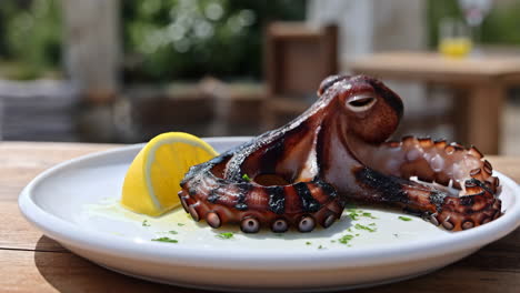 grilled octopus with lemon and herbs