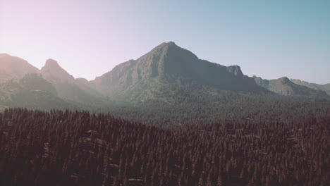 Hermosa-Vista-A-La-Montaña-Con-Bosque-De-Pinos