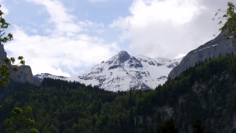 Snowy-white-mountain-in-Switzerland-behind-green-forest-landscape