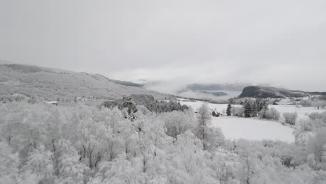 low aerial over forested area covered in fresh white snow - remote scandinavia