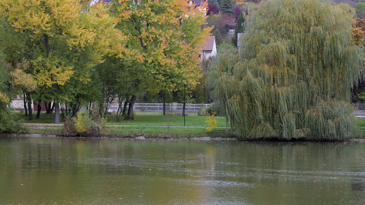 Autumn park trees reflected in calm lake water