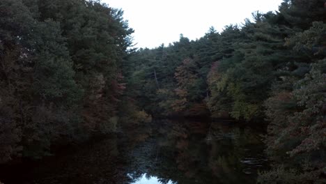 un lapso de tiempo de un bosque a lo largo de un río tranquilo