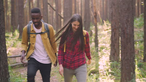 una pareja de senderistas en un bosque.