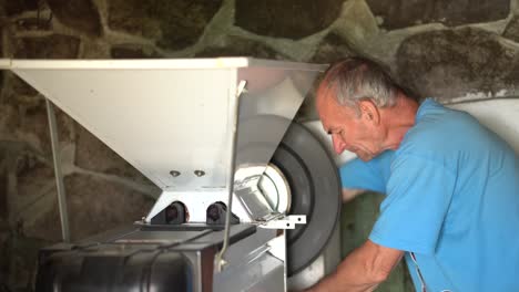 viticultor caucásico mayor moliendo uvas con máquina trituradora de uva manual en bodega