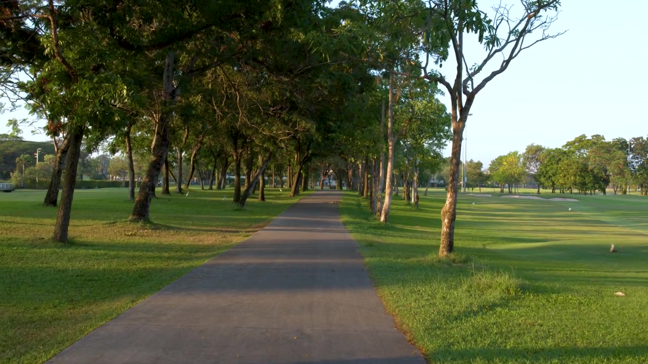 Un movimento fluido della telecamera segue un sentiero lastricato attraverso un parco tropicale soleggiato con erba verde