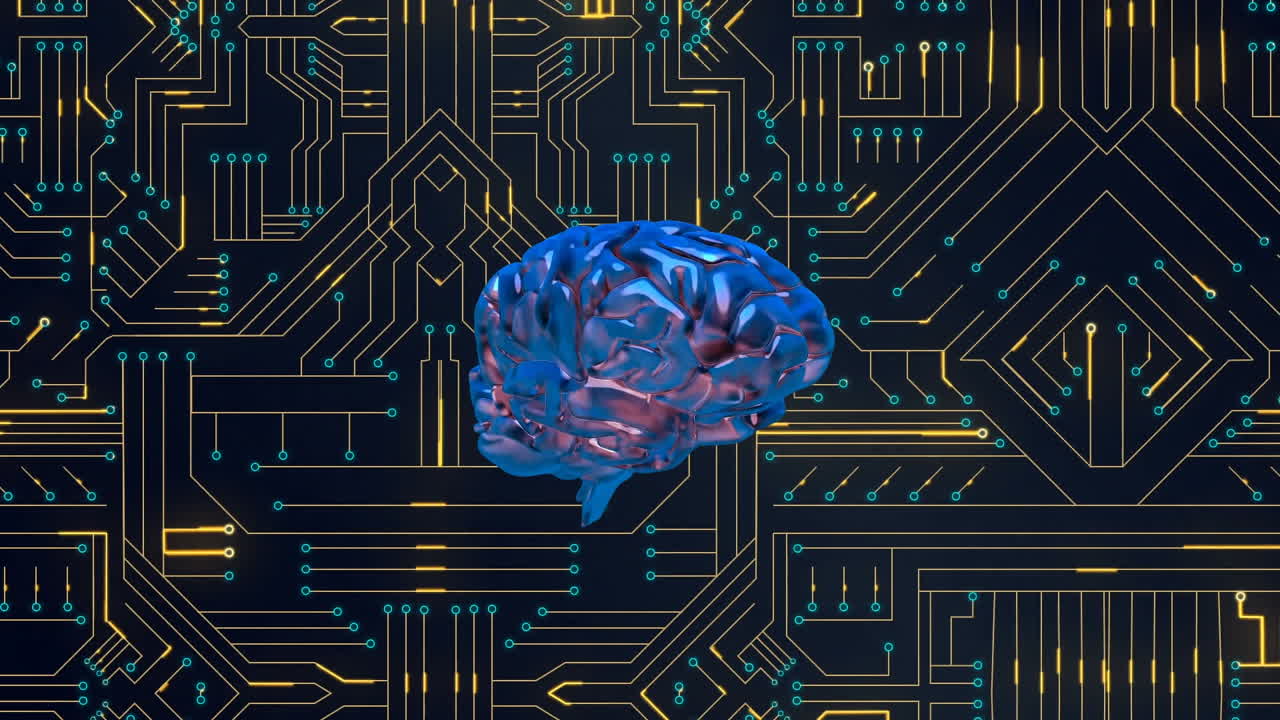 Brain and digital circuit