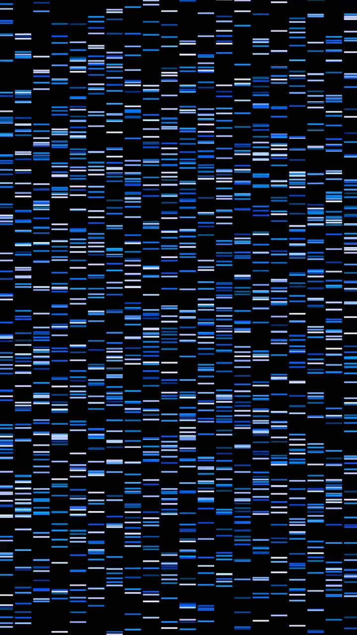 High-density blue and white digital sequence tracking blocks shifting dynamically on screen. Ideal for genomic profiling graphics, biotechnology explainers, and healthcare technology backgrounds.