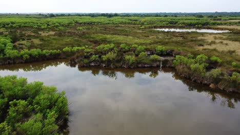 Domaine-de-Graveyron-nature-preserve-on-the-eastern-shore-of-Arcachon-bay-France,-Aerial-flyover-view