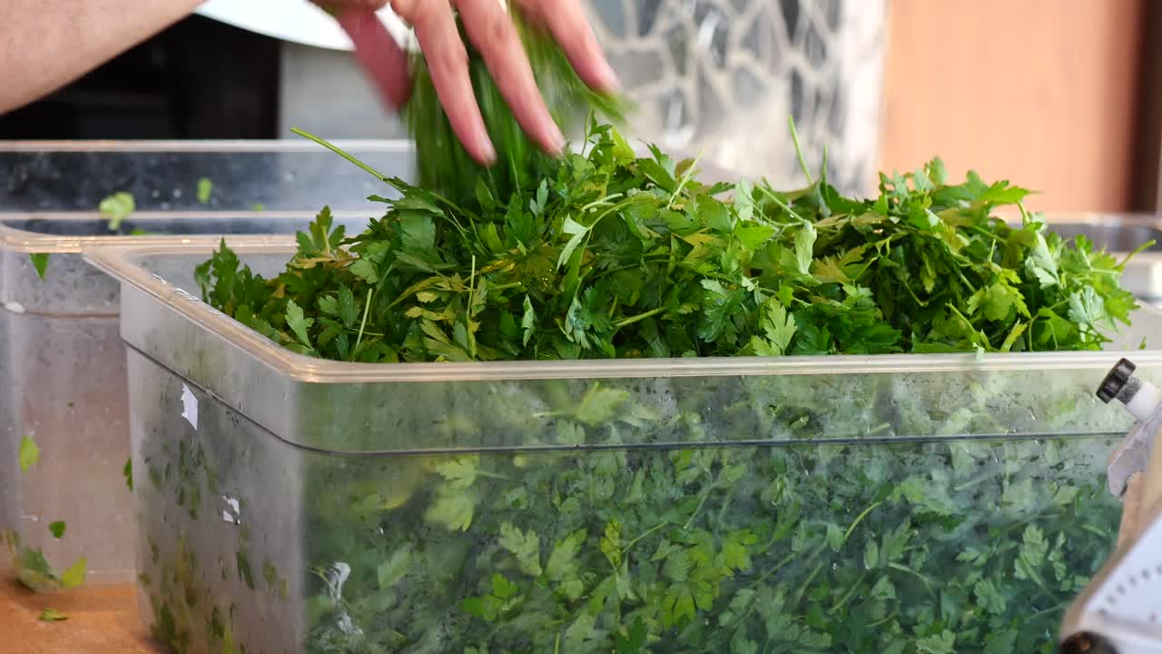 Fresh Parsley in a Container