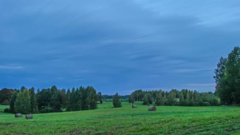 sunrise over a green meadow in the countryside