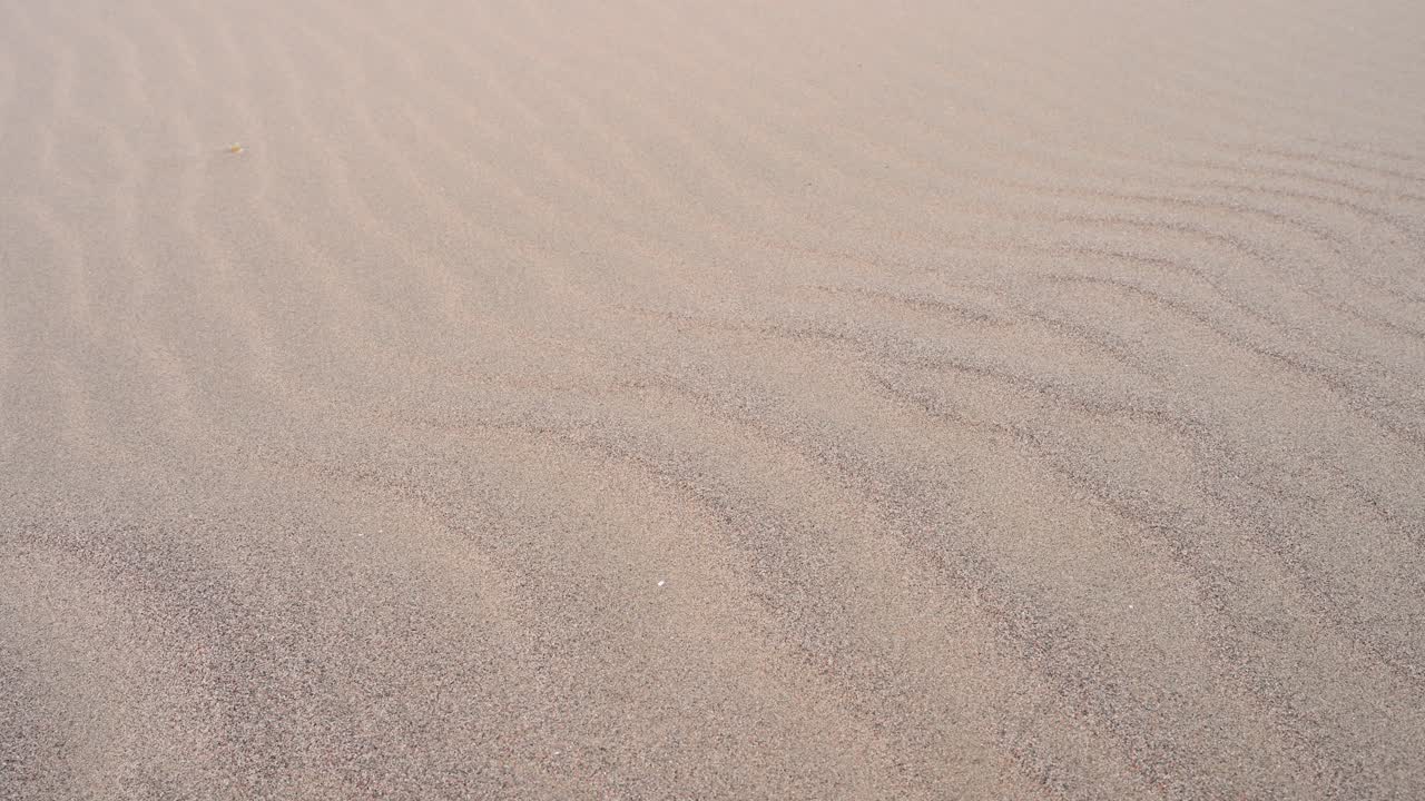 A natural abstract created by the elements. This close-up reveals the intricate ripples and flowing texture of a Mongolian sand dune, carved by persistent wind erosion