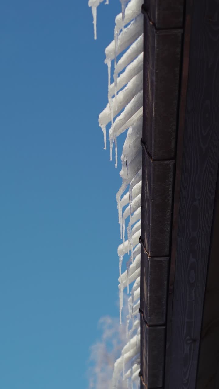 Vertical Icicles hanging from roof edge on a clear winter day with blue sky background. Frozen snow sliding off a house roof.