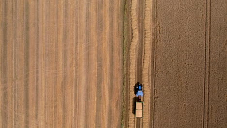 aerial overhead view of tractor pulling trailed loaded with wheat