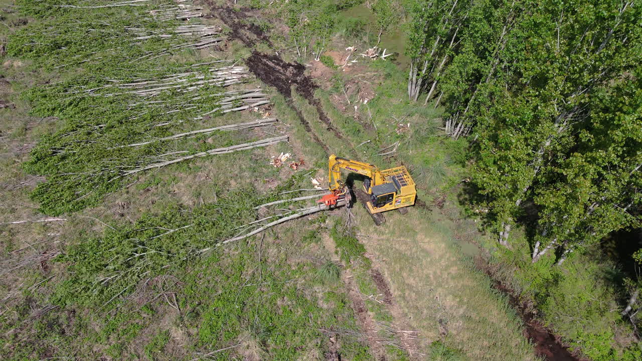 Aerial overview of harvester cutting down and processing trees preparing for further collection in logging industry