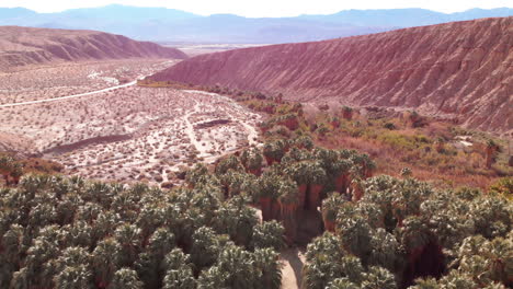 drone view of palm canyon in california desert