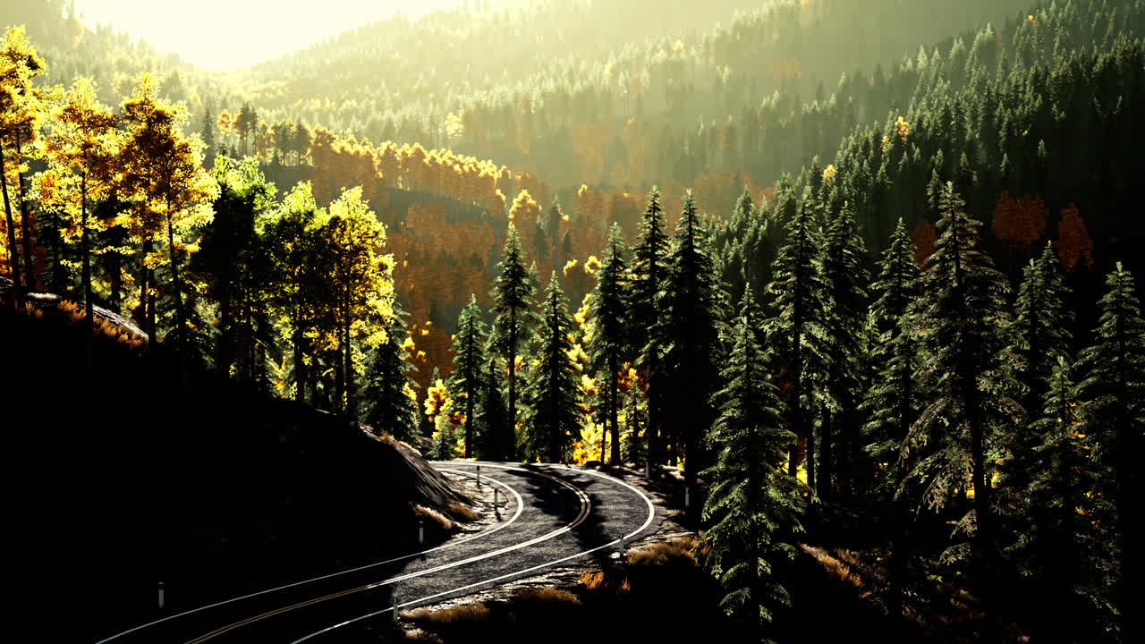 울창 한 숲 을 가로지르는 경치 좋은 휘어지는 길