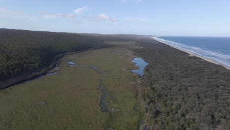 Bosque-Abundante-En-El-Parque-Nacional-Del-Lago-Azul---Isla-De-Stradbroke-Del-Norte-En-La-Bahía-De-Moreton,-Qld,-Australia