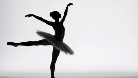 graceful ballerina silhouette