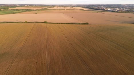 Langsam-über-Wunderschönes-Goldenes-Ackerland-Fliegen