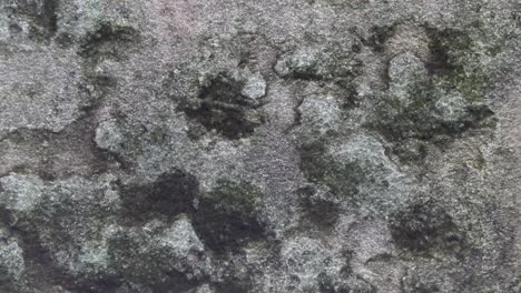 Blick-Von-Oben-Nach-Unten-Auf-Klares-Meerwasser-Mit-Blick-Auf-Die-Felsen-Und-Den-Sandigen-Meeresboden-Des-Wunderschönen-Blauen-Ozeans,-Aufgenommen-Mit-Einer-Drohne,-Die-Sich-Langsam-Vorwärts-Bewegt-Und-Die-Größe-Des-Meeres-Demonstriert