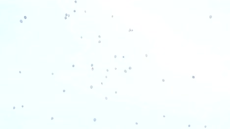 white balloons fly into the sky. concept of air pollution, the completion of the festival