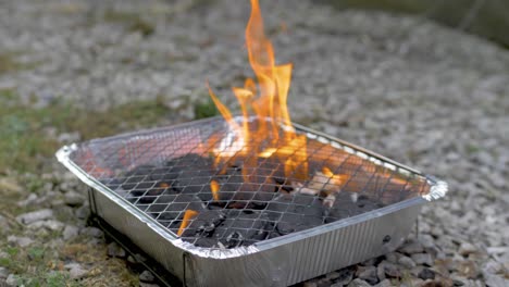 Burning-Portable-Disposable-Instant-Barbeque