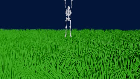 skeleton hanging on  screen . animation