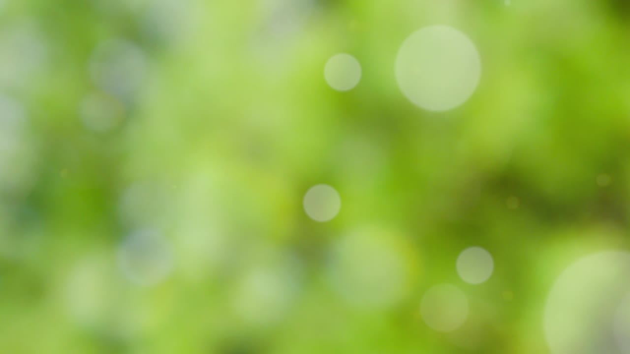 fondo de verano abstracto con bokeh