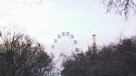 winter day at the park with ferris wheel and birds