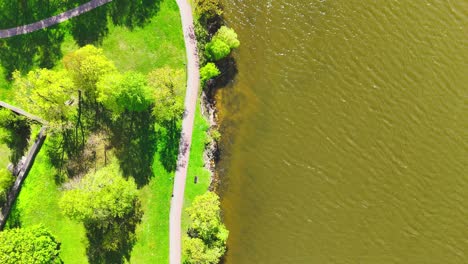 a top-down perspective reveals a winding lakeside path flanked by vivid green trees and brown rippling water, capturing the balance of nature and human space.