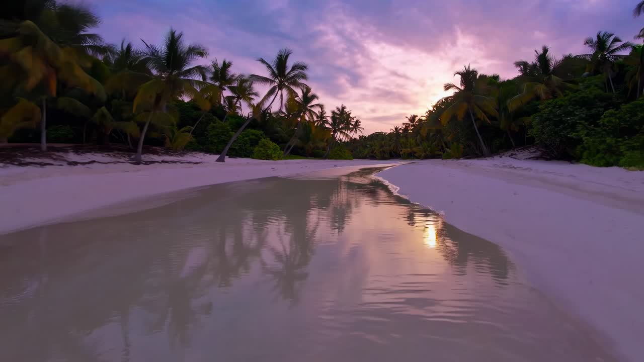 Calm waters reflecting palm trees and a vibrant sunset over a tropical beach in the Seychelles, creating a serene and picturesque scene perfect for relaxation and tranquility