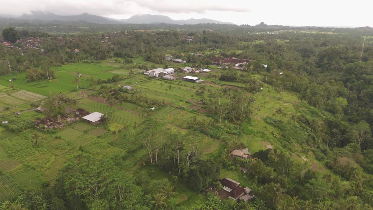 Aerial Camera Sweeps Over Rice Fields and Tropical Forest in Indonesia, with Majestic Mountains and Hills on the Horizon. Drone Footage of Scenic Landscapes.