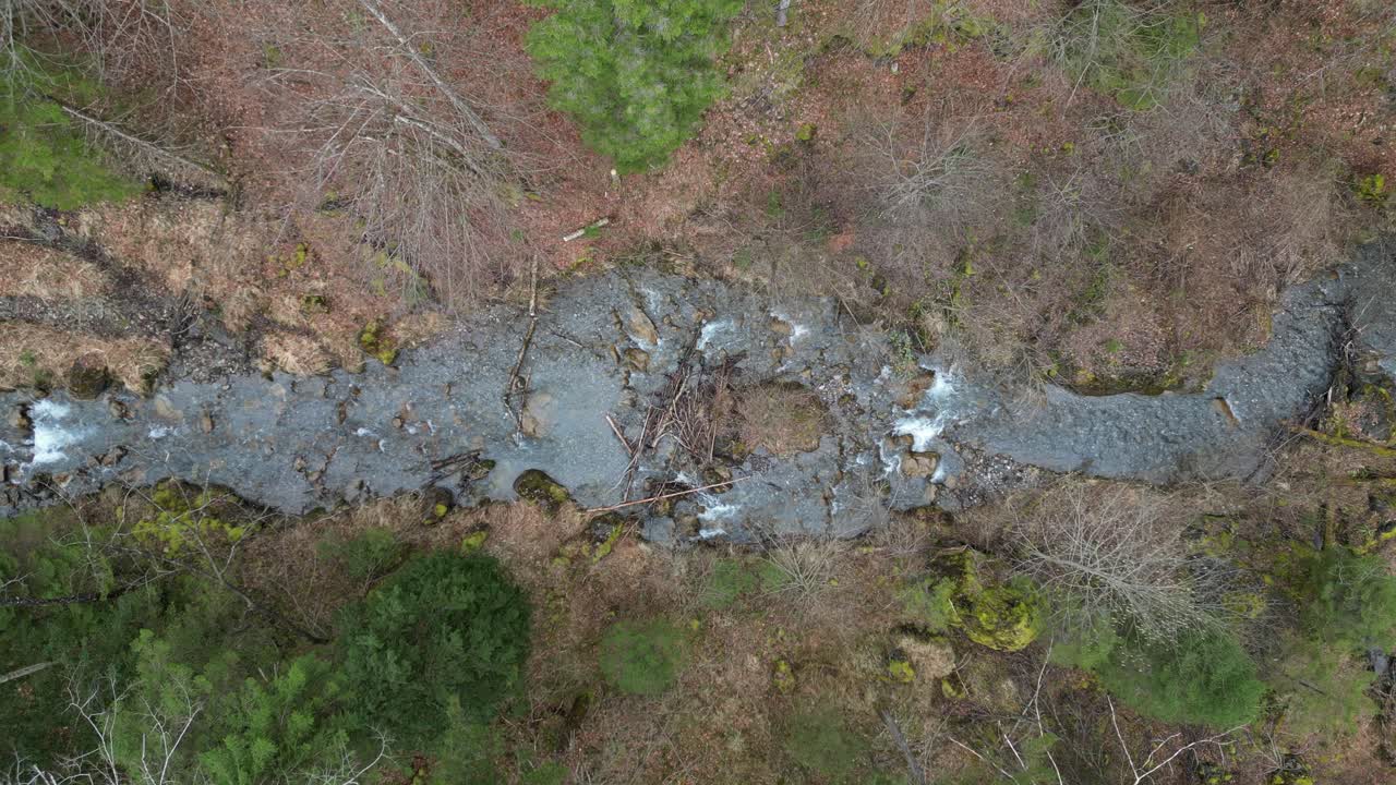 drone de arriba hacia abajo estático estableciendo una visión general del río que fluye entre las rocas de musgo y la basura subterránea en las orillas