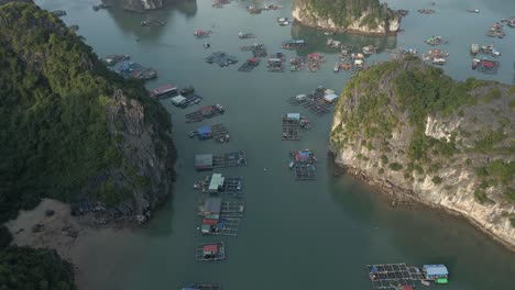la inclinación aérea revela el pueblo pesquero de van gia y la bahía de ha long, vietnam