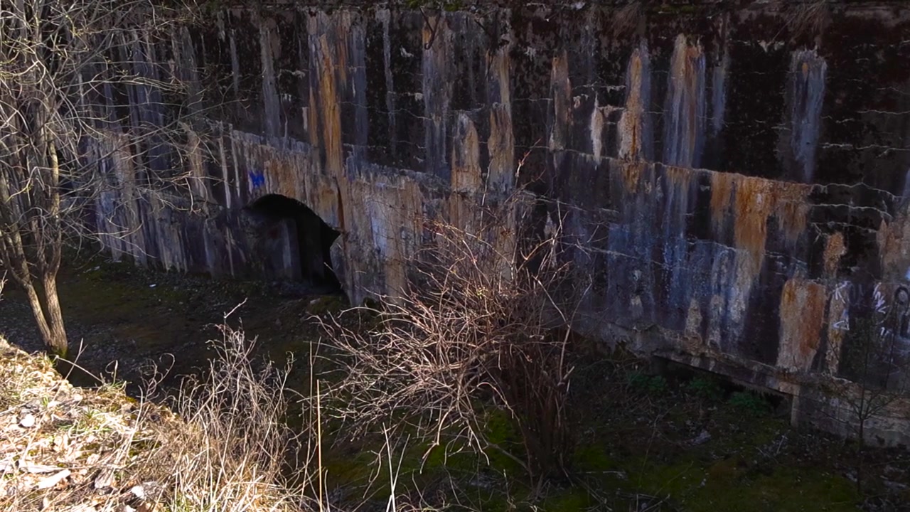 Mura in pietra di un'antica fortezza a Tallinn, parte della Fortezza Navale di Pietro il Grande, che rivelano un oscuro ingresso a tunnel simile a una grotta, circondato da vegetazione selvaggia e incolta in una giornata di sole.