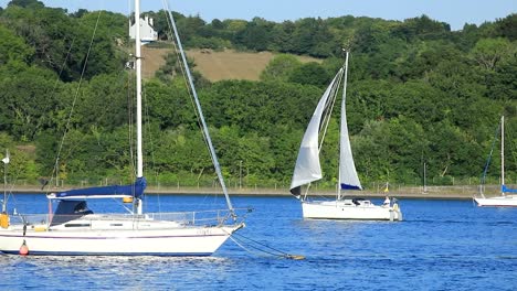 a beautiful sailboat sailing up the river tamar between devon and cornwall