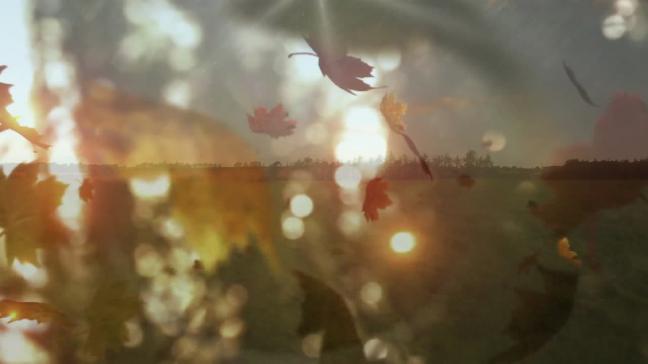 Autumn leaves falling with glowing sunlight over blurred countryside landscape